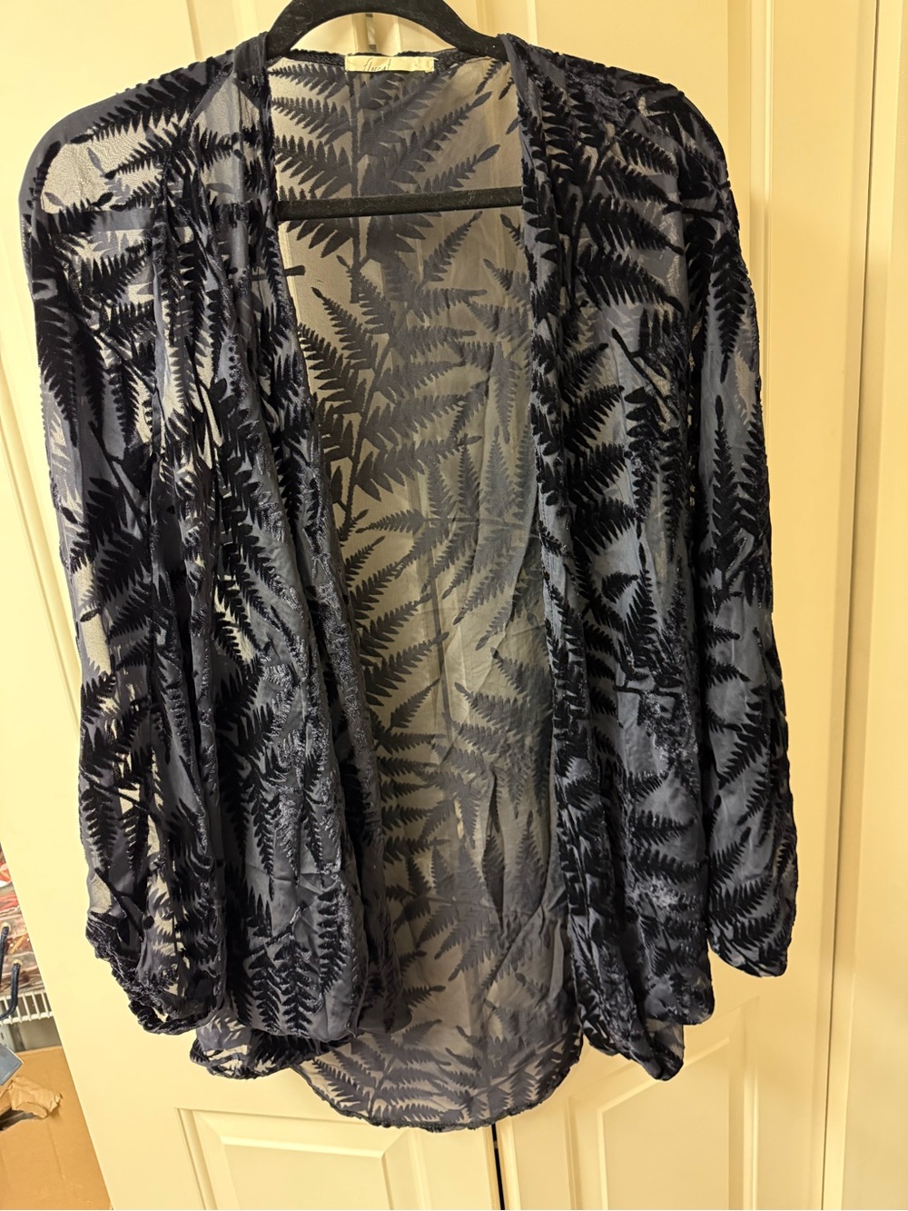 Sheer Velvet Burnout Cardigan (Anthropologie)